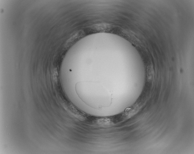 X0000073900279200609082155