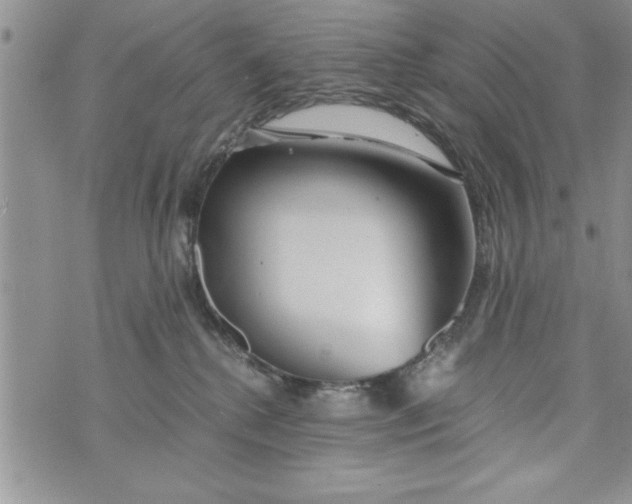 X0000073900280200609082155