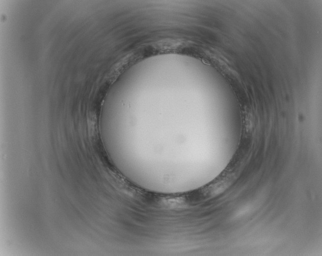 X0000073900283200609082155