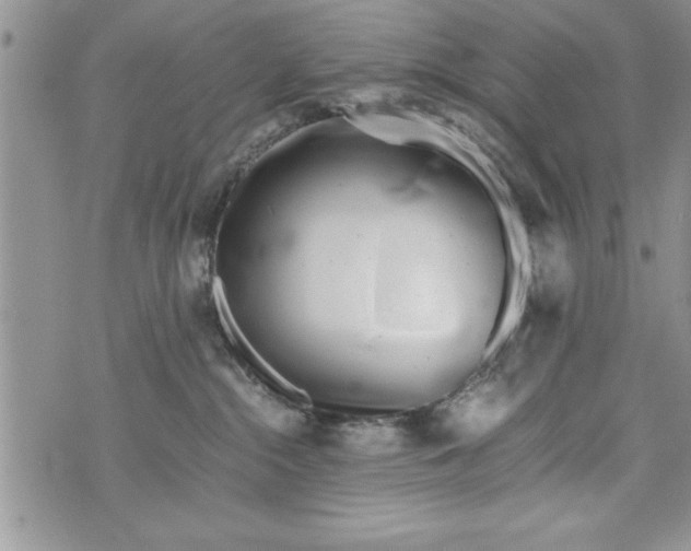 X0000073900284200609082155