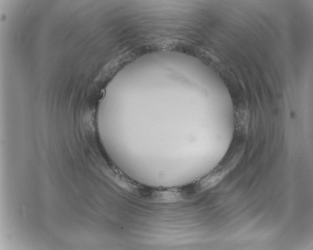 X0000073900286200609082155