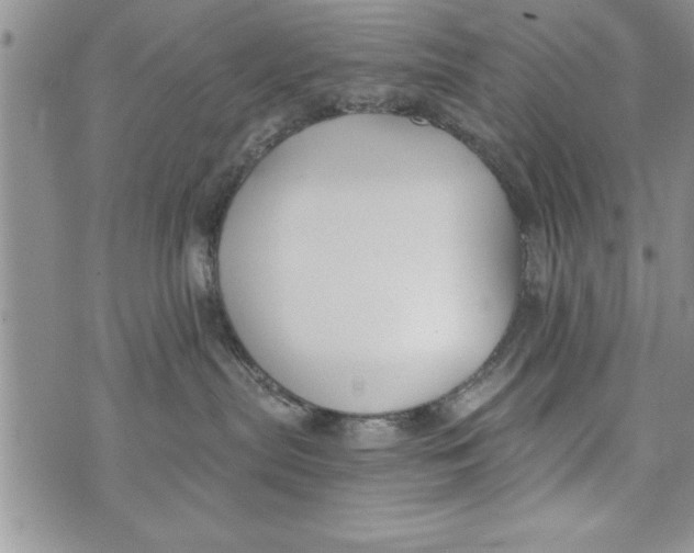 X0000073900287200609082155