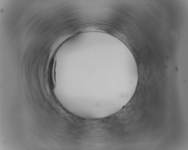 X0000073900289200609082155