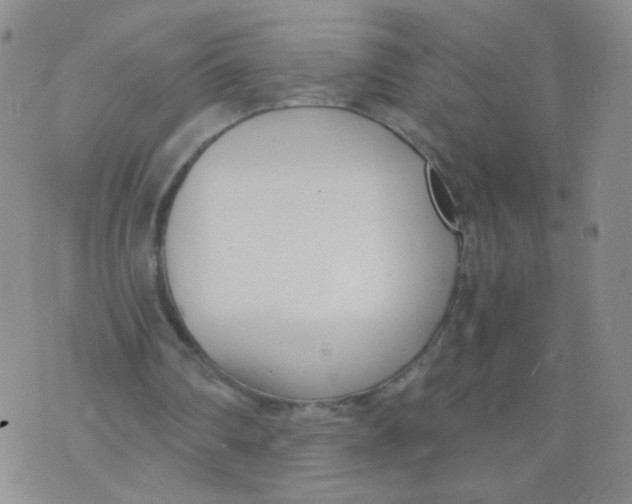 X0000073900290200609082155