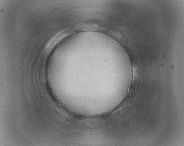 X0000073900291200609082155