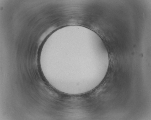 X0000073900292200609082155