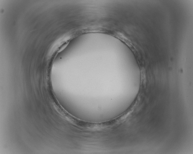 X0000073900293200609082154