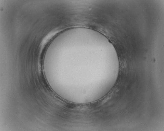 X0000073900294200609082154