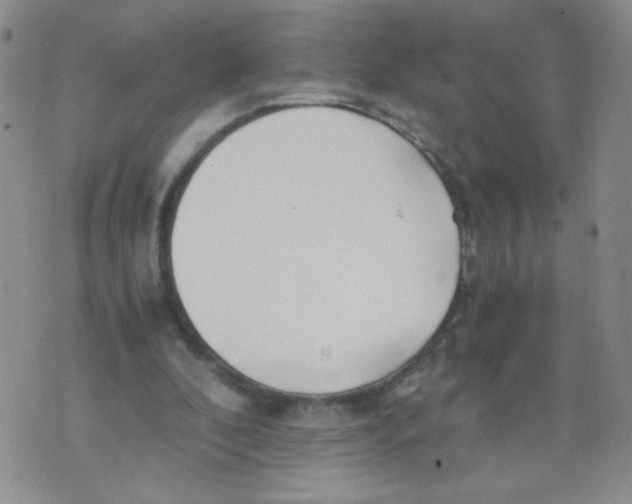 X0000073900296200609082154