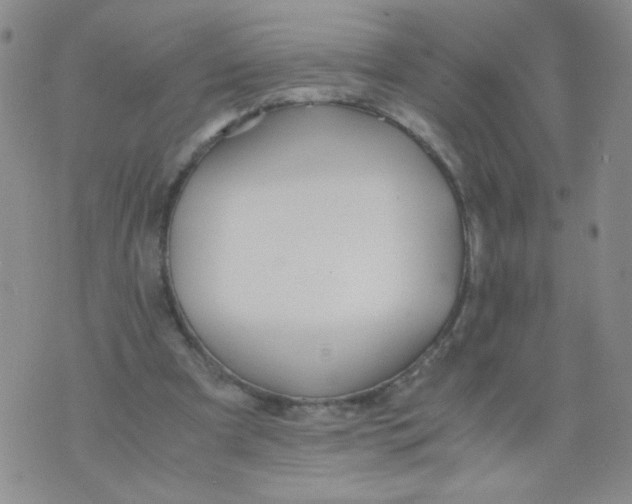 X0000073900297200609082154