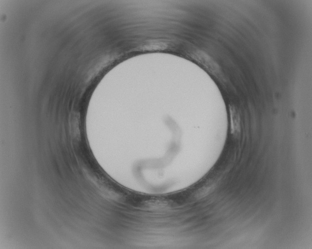 X0000073900300200609082154