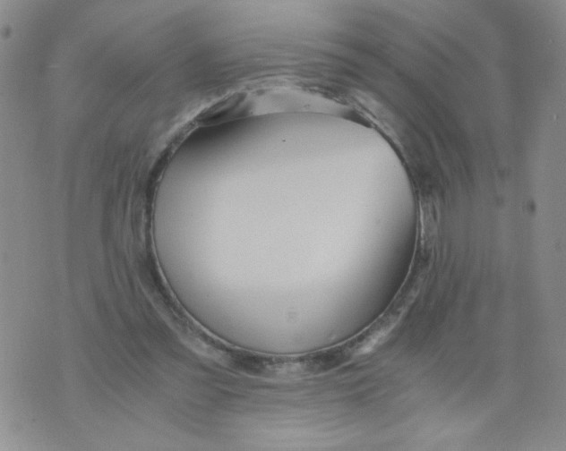 X0000073900301200609082154