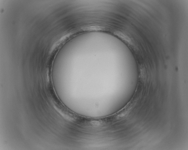 X0000073900302200609082154