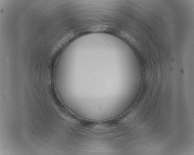 X0000073900303200609082154