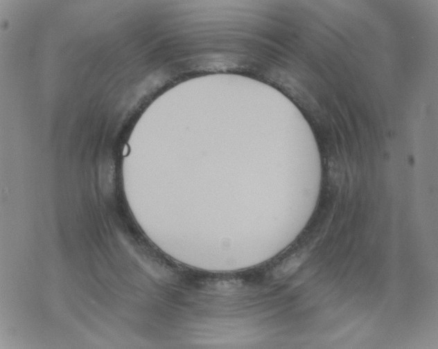 X0000073900304200609082154