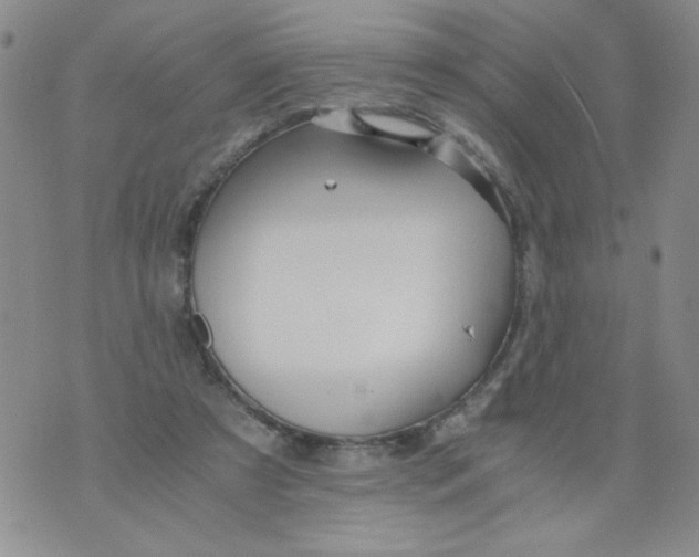 X0000073900305200609082154