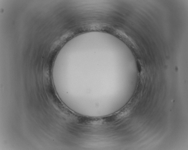 X0000073900306200609082154