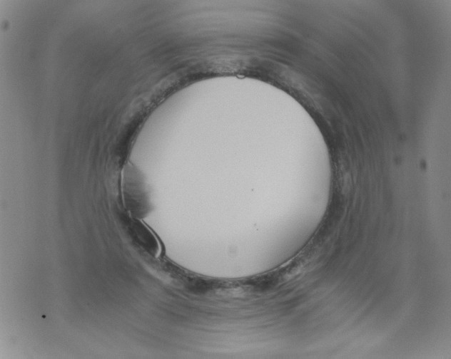 X0000073900307200609082154