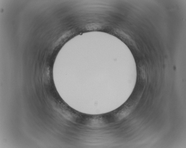 X0000073900308200609082154