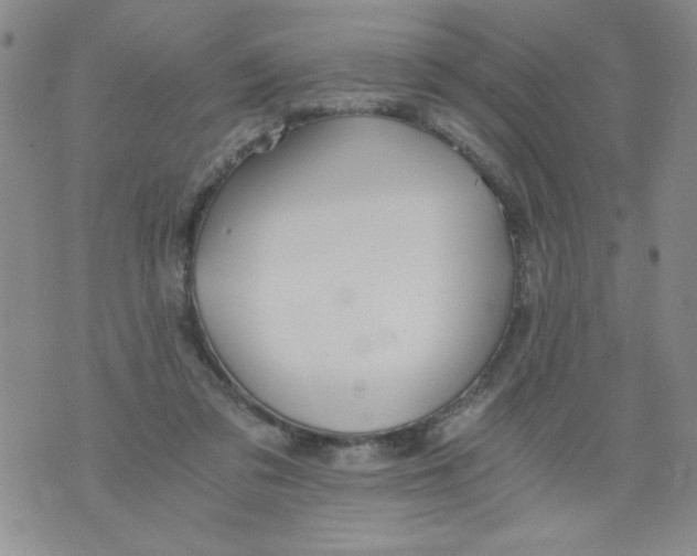 X0000073900309200609082154