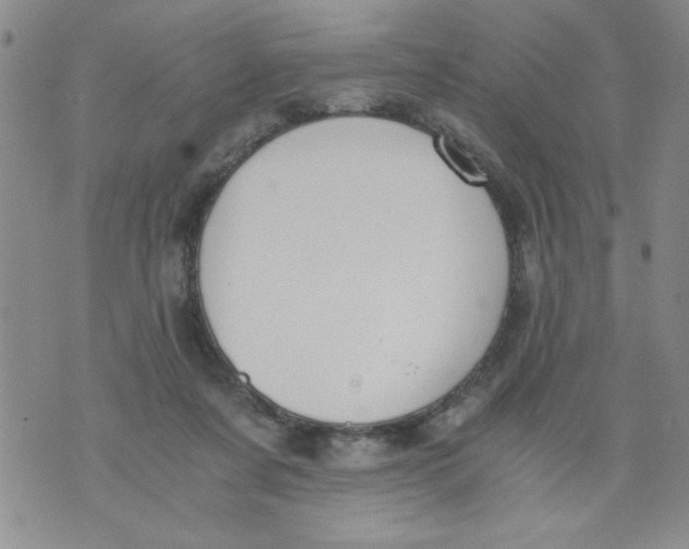 X0000073900311200609082154