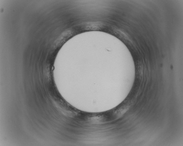 X0000073900312200609082154