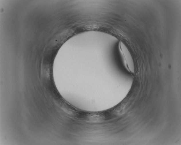 X0000073900315200609082154