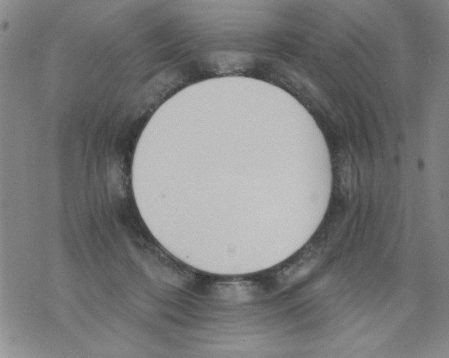 X0000073900316200609082154