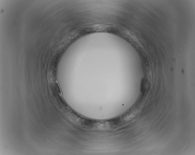 X0000073900317200609082154