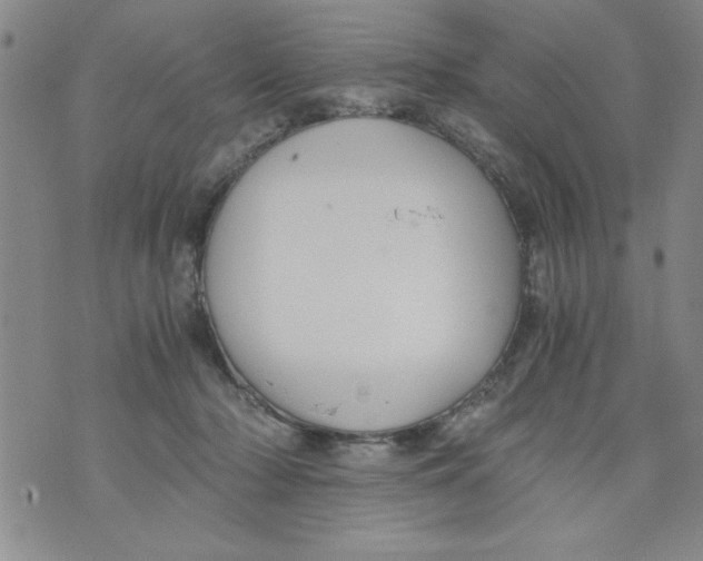 X0000073900318200609082154