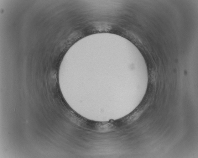 X0000073900321200609082154