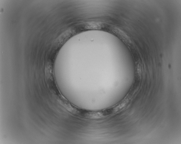 X0000073900322200609082154