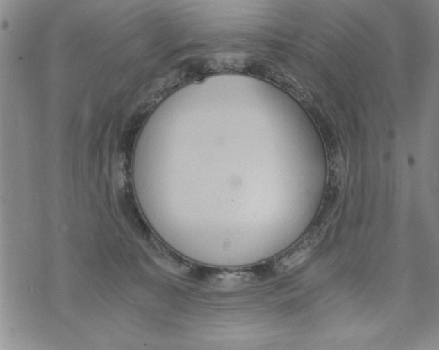 X0000073900323200609082154