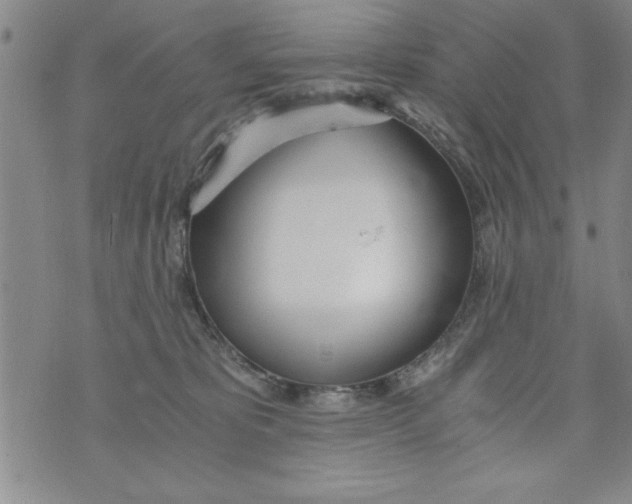 X0000073900325200609082154