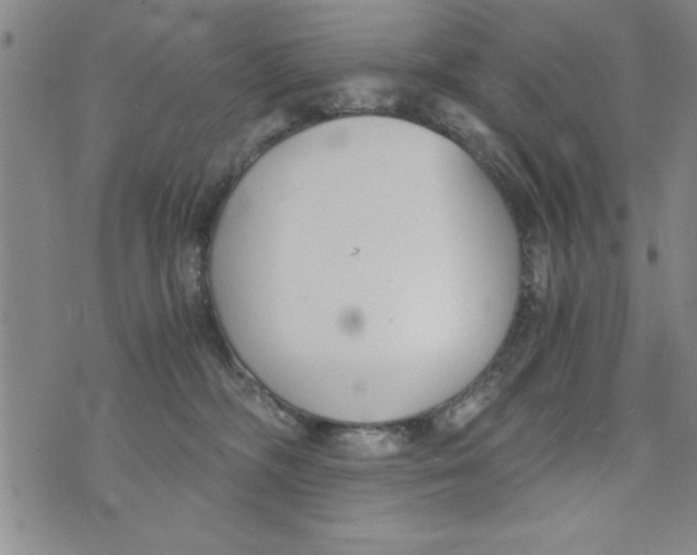 X0000073900326200609082154