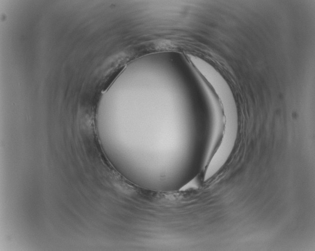 X0000073900329200609082154