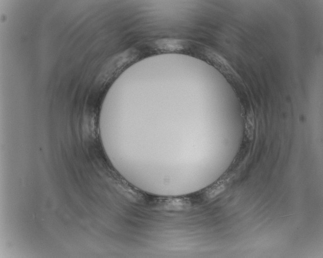 X0000073900330200609082154