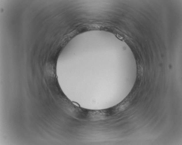 X0000073900331200609082154