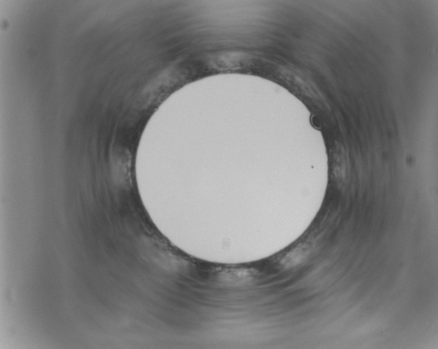 X0000073900332200609082154