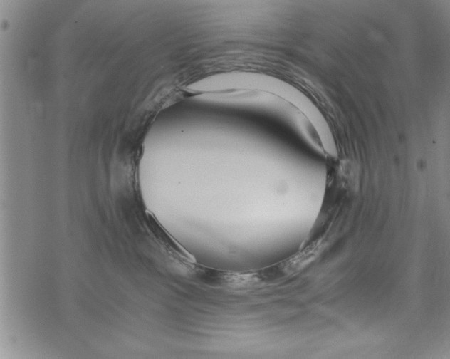 X0000073900333200609082154