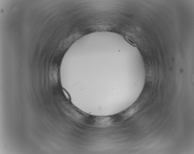 X0000073900334200609082154