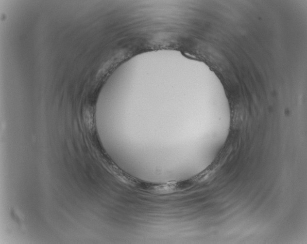 X0000073900335200609082154