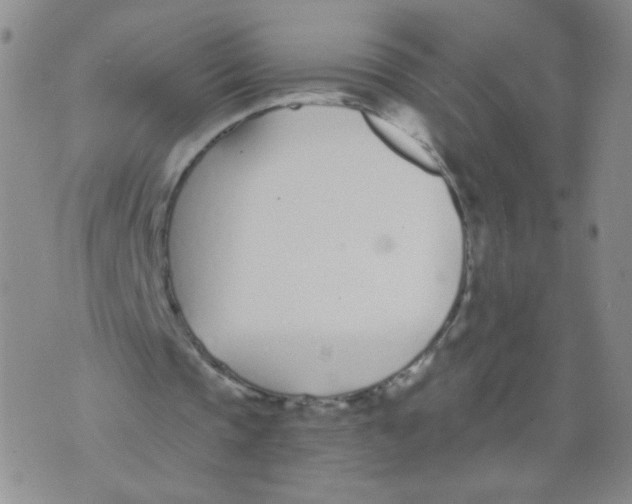 X0000073900337200609082153