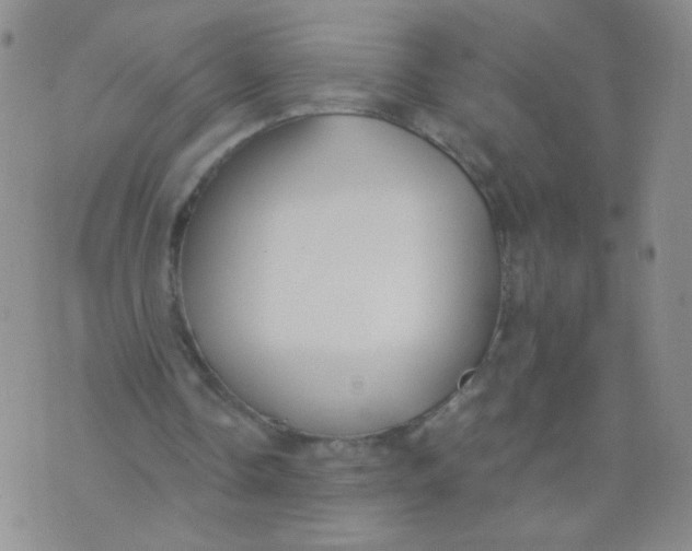 X0000073900338200609082153