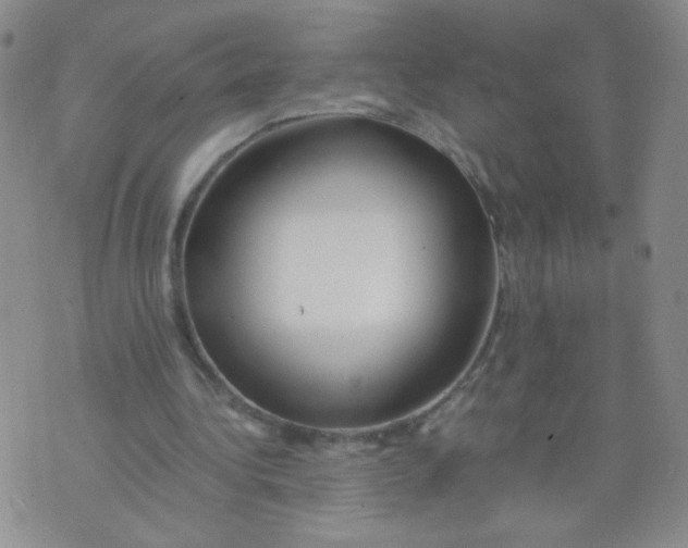 X0000073900340200609082153