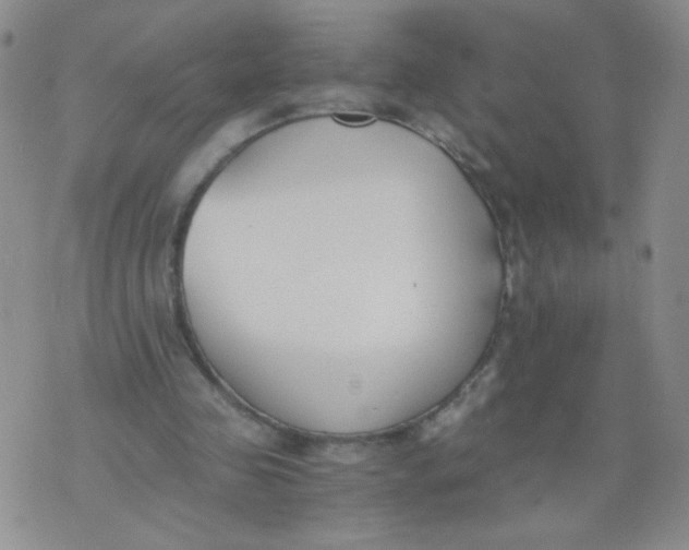 X0000073900341200609082153