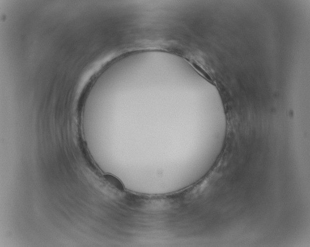 X0000073900342200609082153