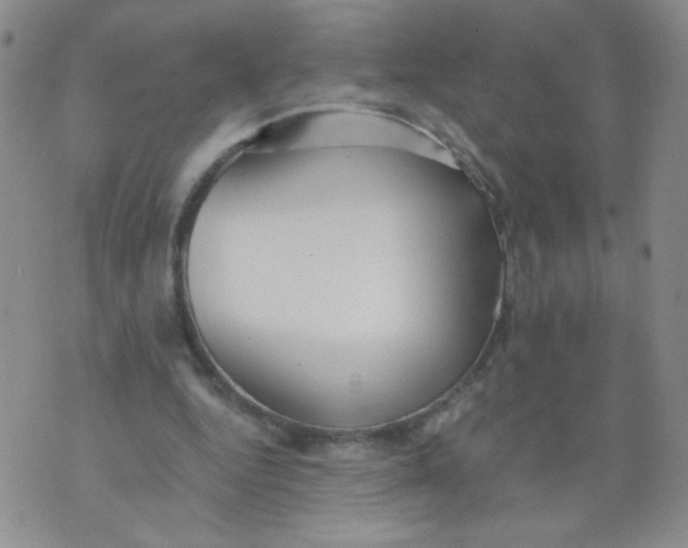 X0000073900344200609082153