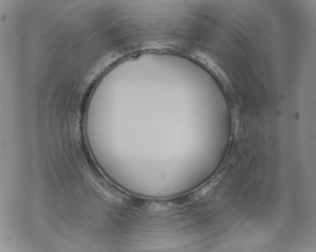 X0000073900346200609082153