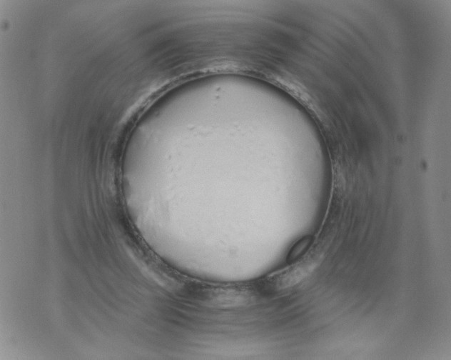 X0000073900347200609082153